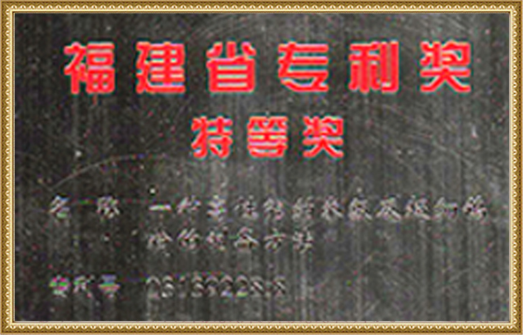 Special Prize Of Fujian Provincial Patent Award